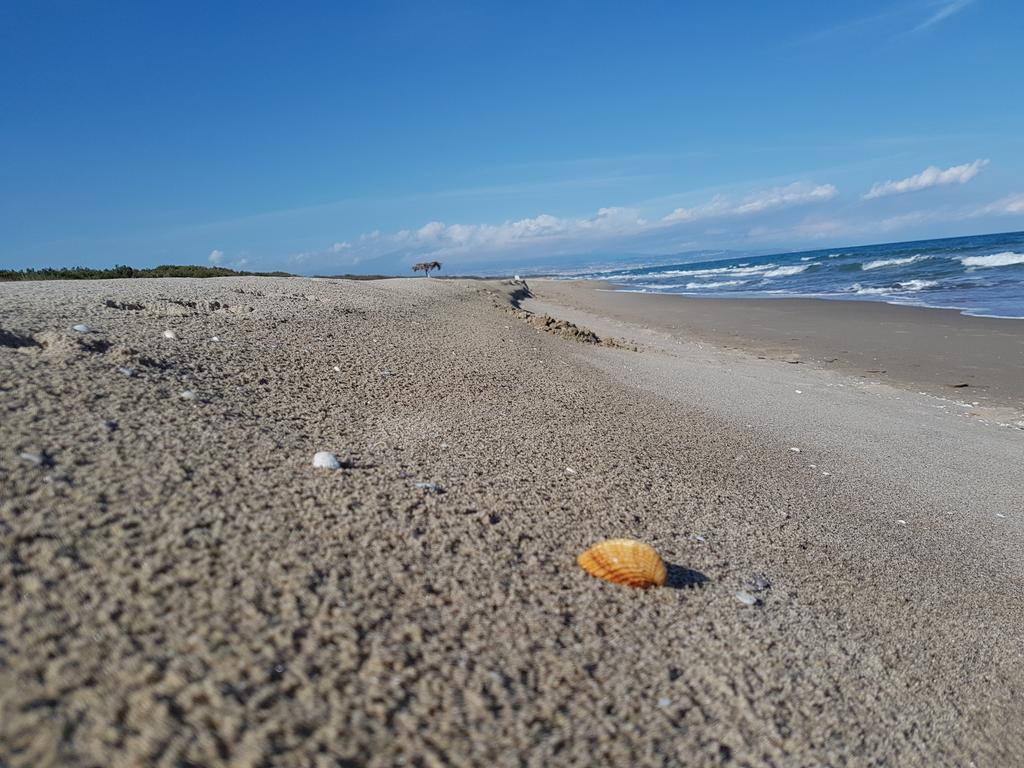 Villa Sulla Spiaggia Tra Catania E Siracusa Agnone Bagni Εξωτερικό φωτογραφία